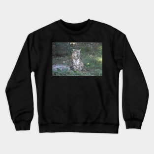 Bobcat Crewneck Sweatshirt